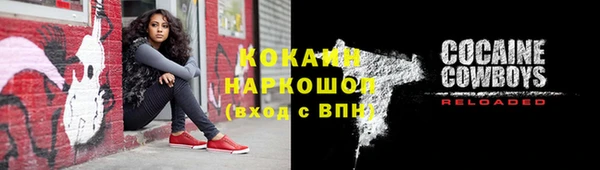 соль ск Алексин