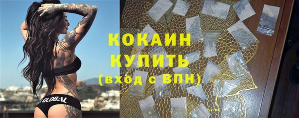 прущий лед Михайлов