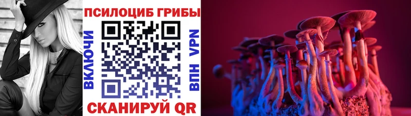 Галлюциногенные грибы GOLDEN TEACHER  Цивильск 